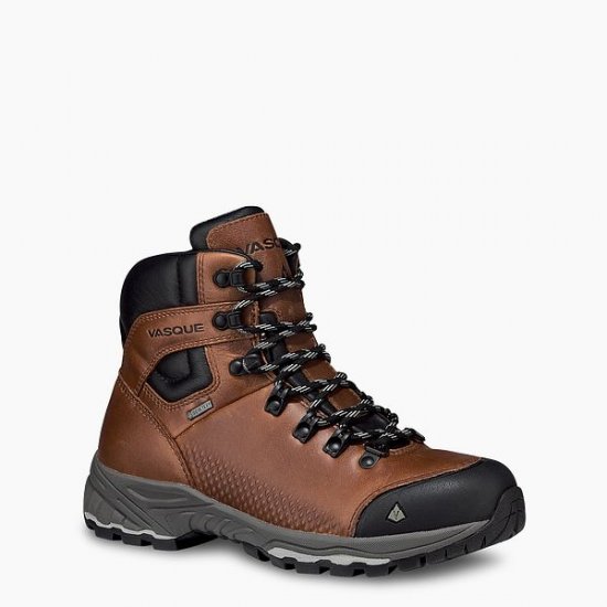 VASQUE | WOMEN'S ST. ELIAS FG GTX WATERPROOF HIKING BOOT IN BROWN - Click Image to Close